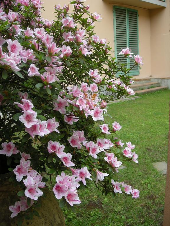 Bed and Breakfast Casa Schlatter Florencja Zewnętrze zdjęcie